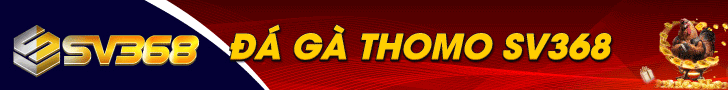 banner ads daga360